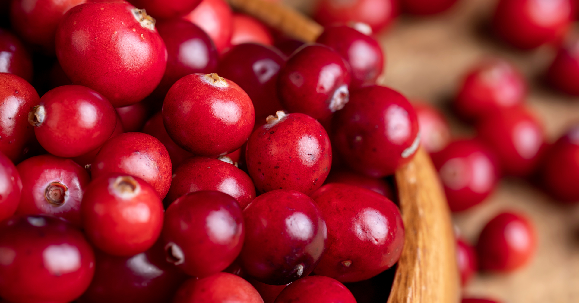 Propiedades y beneficios de los arándanos para la salud