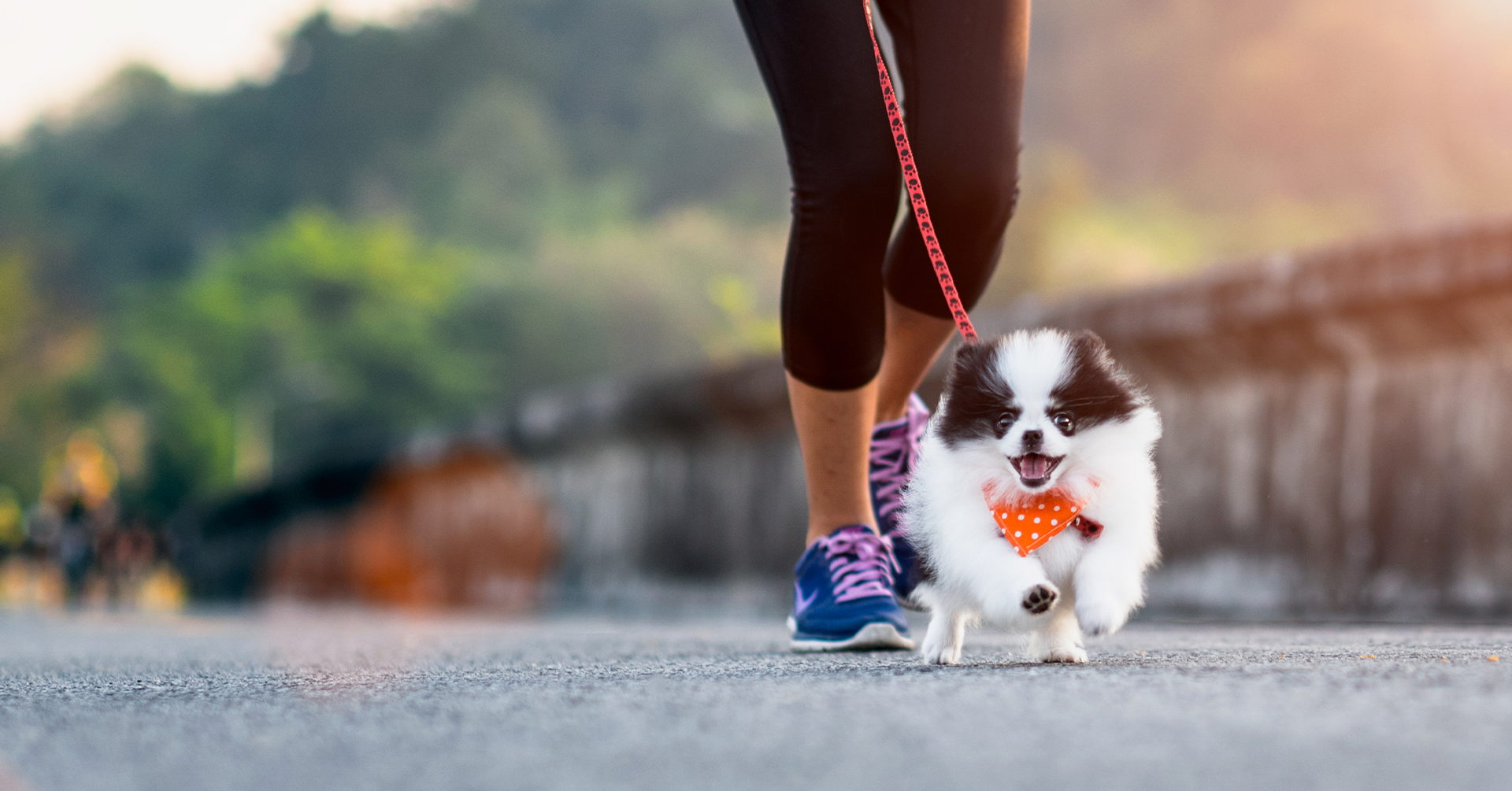 4 Ejercicios para ponerte en forma con tu mascota